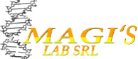 magis lab