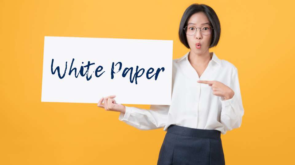 White Paper - posizionarsi come esperti del settore