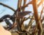 Content Pruning - potatura SEO