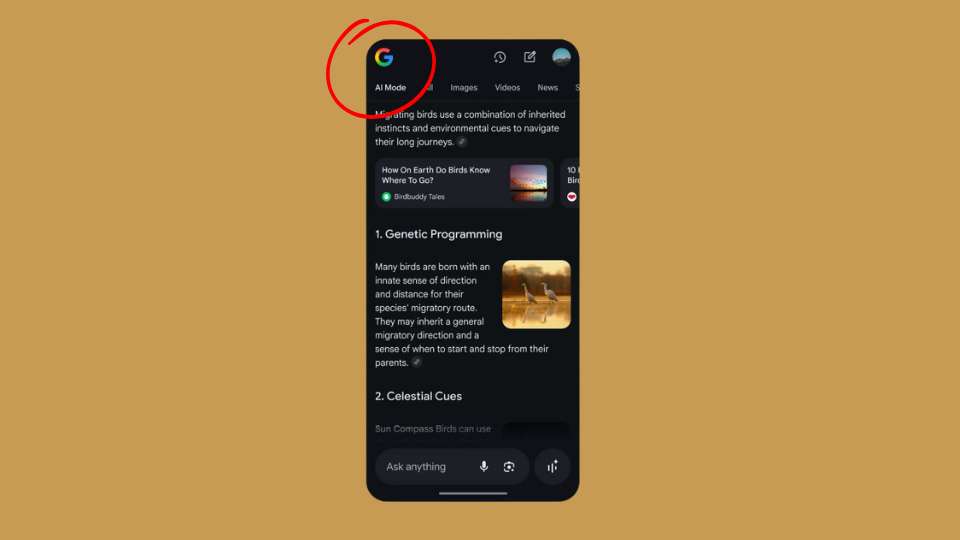 Google AI Mode - perché cambia il modo di cercare su Google
